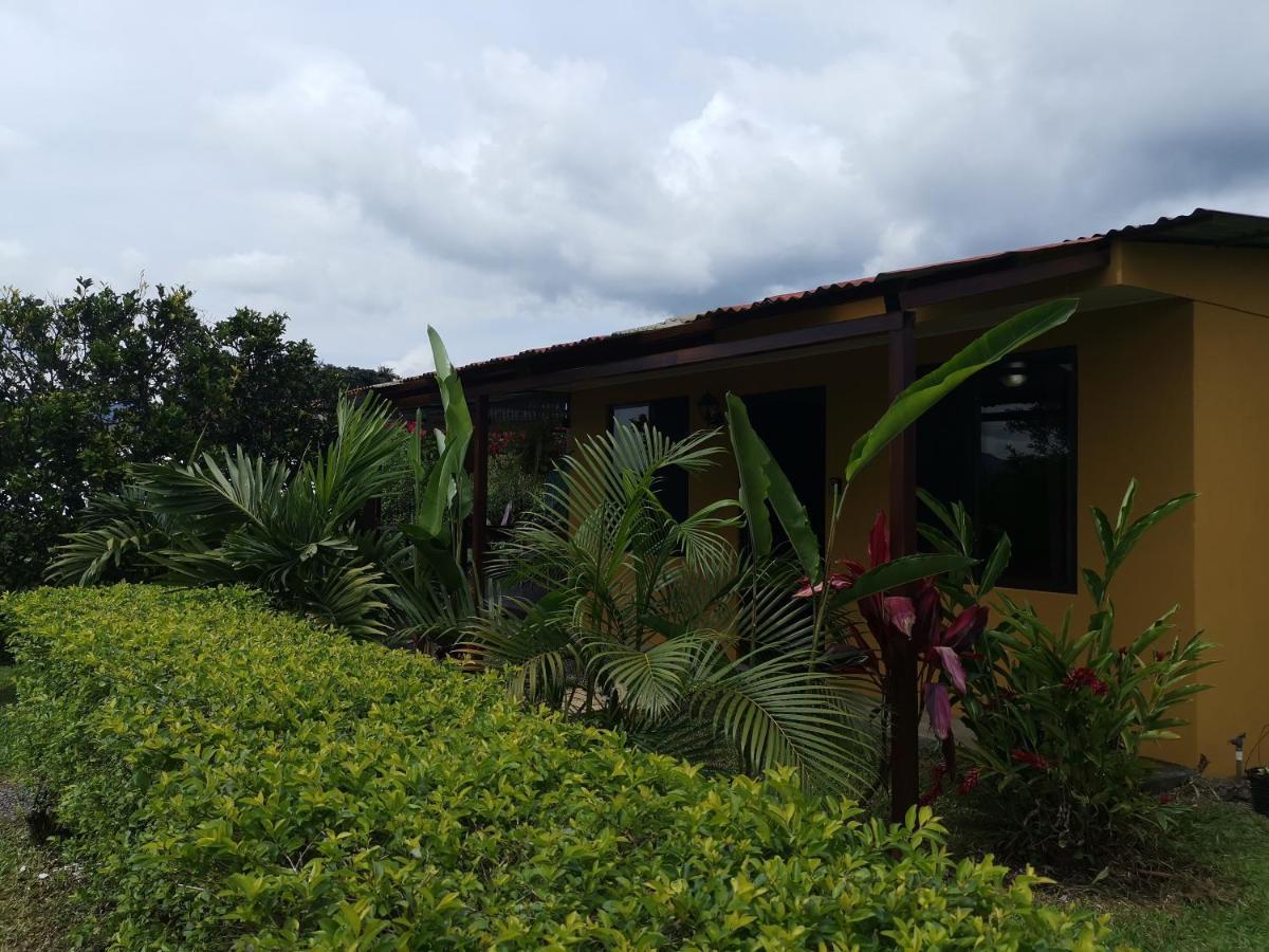 Dreamcatcher House Sarchí المظهر الخارجي الصورة